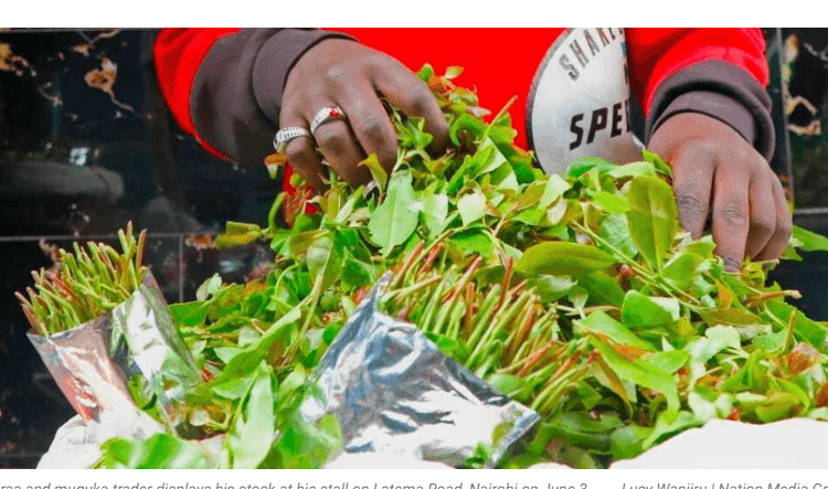 Muguka in embu and meru photo