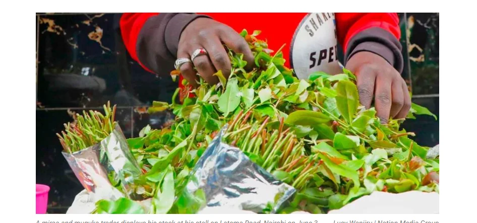 Muguka in embu and meru photo