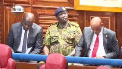 Security officials in senate