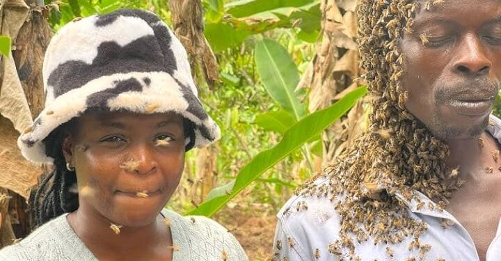 Track thieves and cath them photo