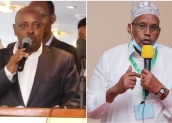 Wajir senator abass sheikh