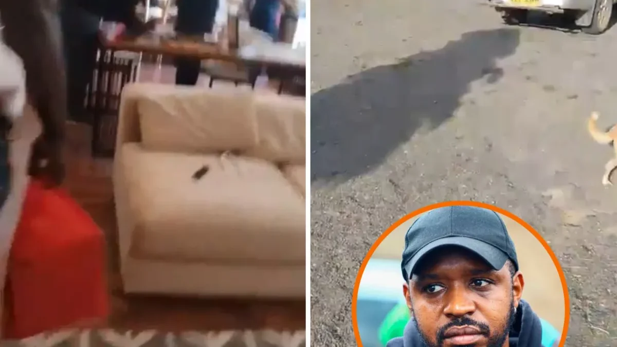 Boniface mwangi arrested