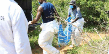 Malindi's binzaro village amid cult fears