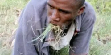 Man eating grass out of dr bokko