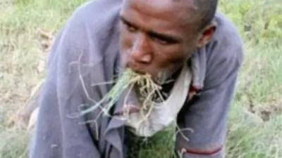Man eating grass out of dr bokko