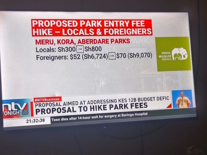 Ntv proposals kenya