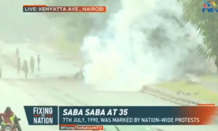 Police officers teargassing themselves