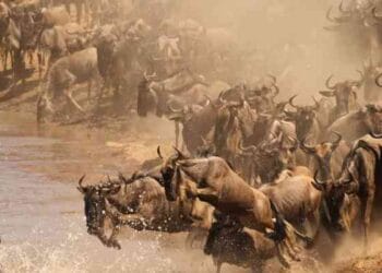 The panari hotel in nyahururu, in laikipia county overlooking the thomson fall. thomson fall is a historic site that attracts tourists in laikipia county photo
