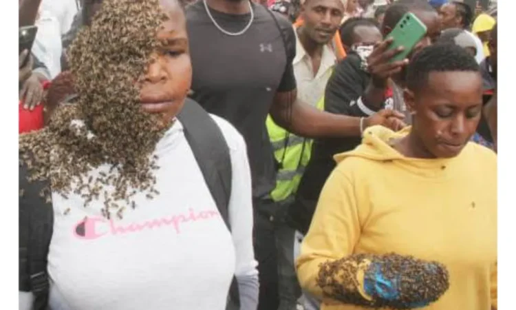 Umoja women thieves