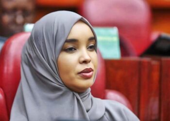 Wajir women rep fatuma abdi jehow photo in parliament