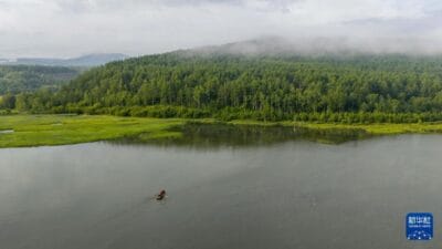 Wusulangzi lake quietly unveils its charm in hinggan league, north china's inner mongolia autonomous region