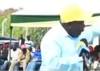 Ziwa ward opinion leader