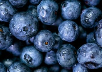 Eye superfoods photo