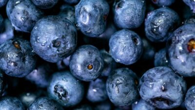 Eye superfoods photo