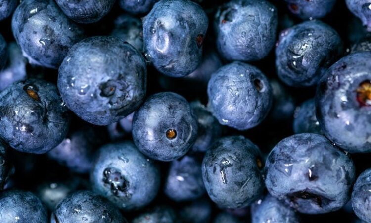 Eye superfoods photo