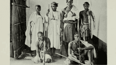 King toera’s skull is part of a broader movement
