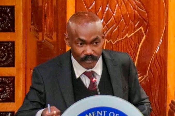 Lawyer elisha ongoya