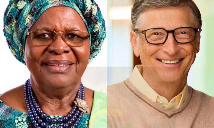 Namibia president and gates photo
