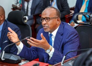 Cs health and sha aden duale