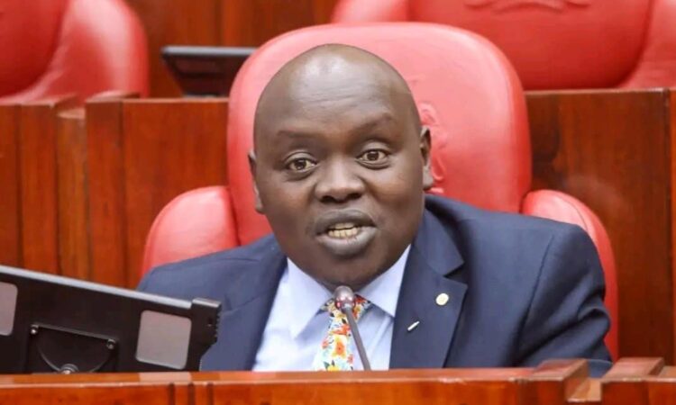 Cherargei samson
