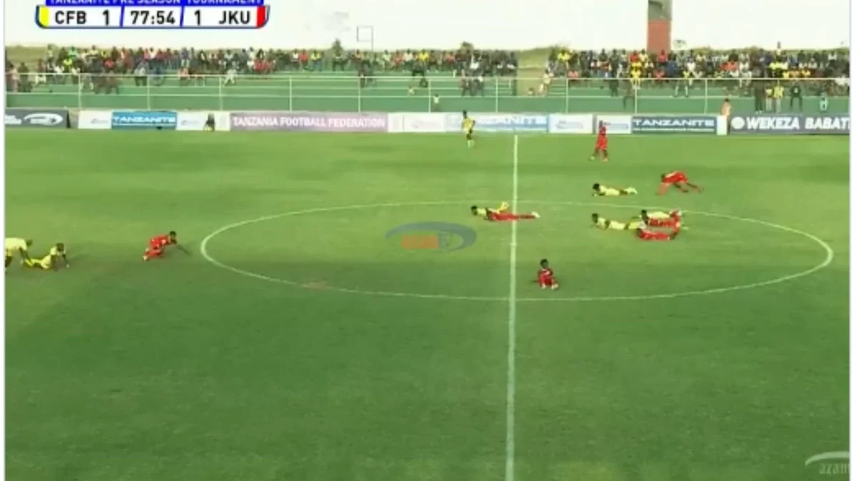 Drama in tanzania, city fc abuja vs jku fc match suspended as bees flew over the pitch in the 77th minute.