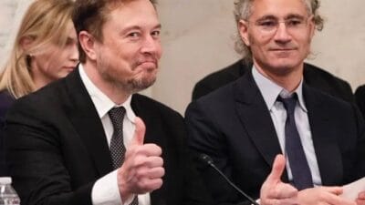 Palantir and musk