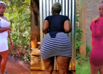 Socialite njoki murira