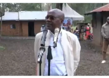 Boni khalwale photo