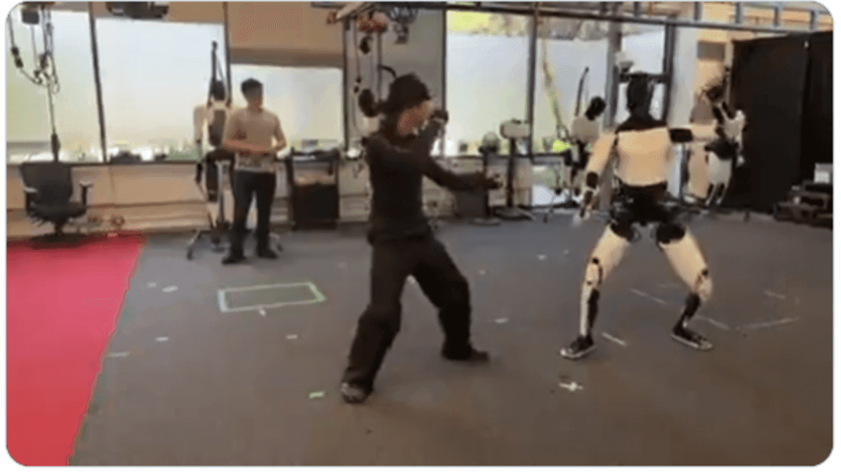 Elons optimus can do kung fu like us