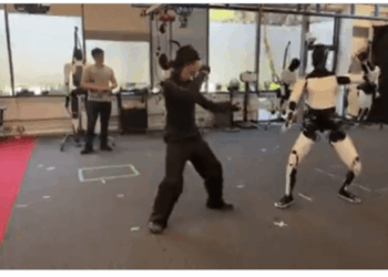 Elons optimus can do kung fu like us