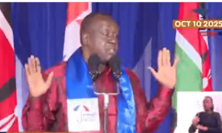 Fred matiangi at wiper ndc