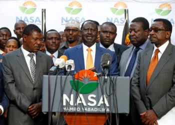 Kalonzo musyoka , mudavadi raila odinga nasa kenya election