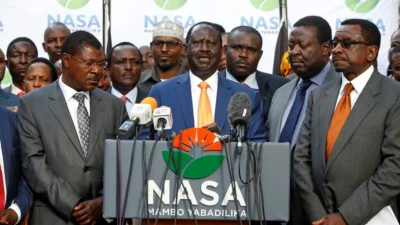 Kalonzo musyoka , mudavadi raila odinga nasa kenya election