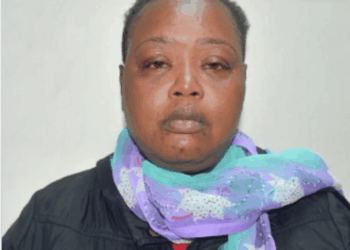 Liza amara anyoso