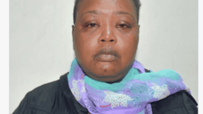 Liza amara anyoso