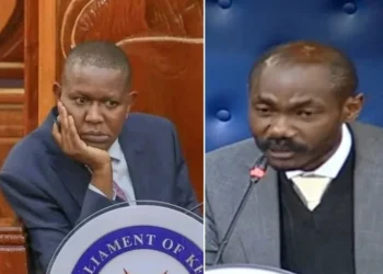 Mp mwengi mutuse