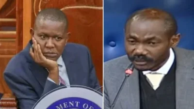 Mp mwengi mutuse