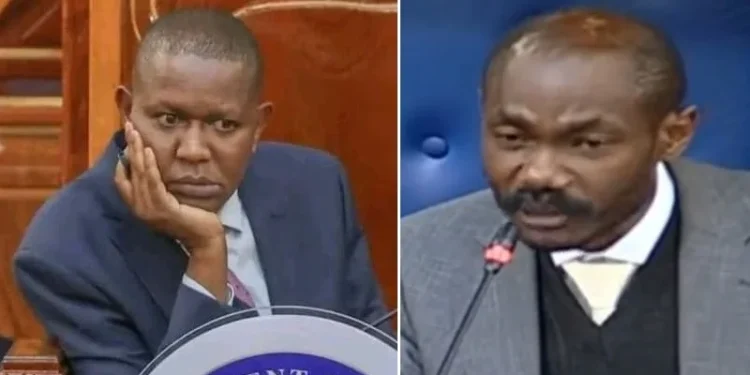 Mp mwengi mutuse