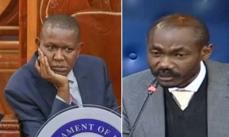 Mp mwengi mutuse