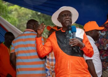 Odm leader top photo