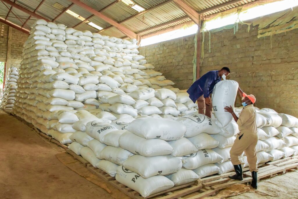 Our mwea rice farmers have invested heavily to pro (2)