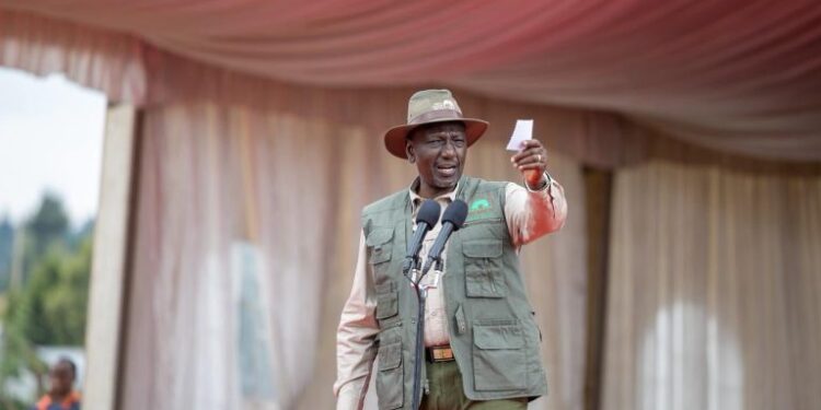 President william ruto