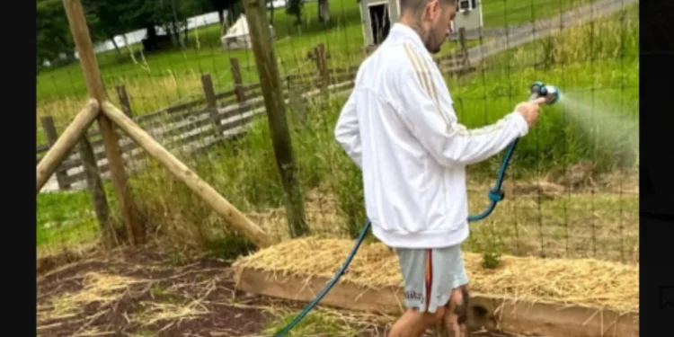 see new posts david beckham