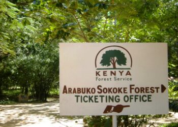 Arabuko sokoke forest reserve