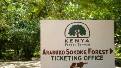 Arabuko sokoke forest reserve
