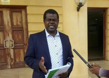 High Court petition seeks to block IEBC from using