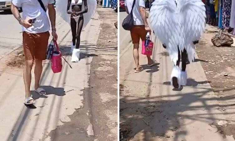 Mombasa woman appearing in public wearing wings like an angel photo