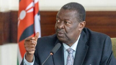 Mudavadi (1)