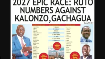 The Star newspaper voting pattern