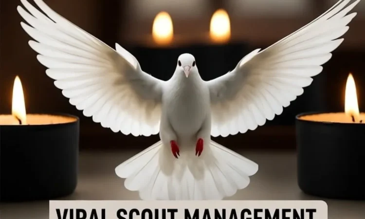 Viral scout management has confirmed that seven yo
